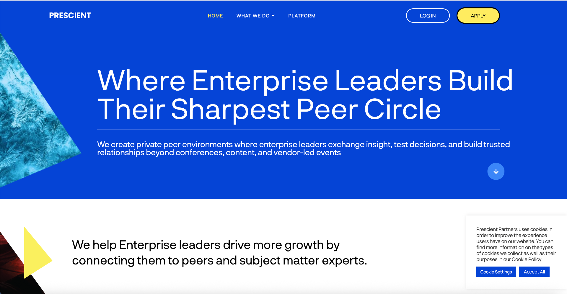 Prescient Circle — Executive distribution